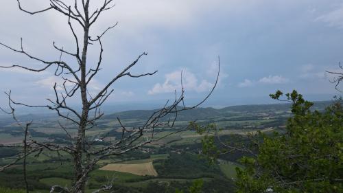 DJI_2888.JPG
